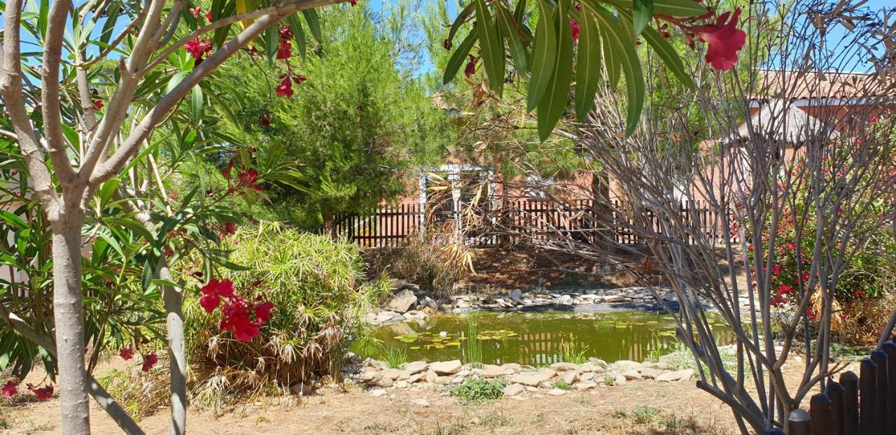 Maison Climatisee Avec Piscine Chauffee Calvisson Exterior foto